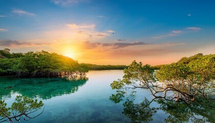 Sunrise Over a Peaceful Lagoon Surrounded by Mangrove Trees and Crystal Clear Waters, With Exotic Birds Perched on Branches for a Vibrant Nature Landscape Scene