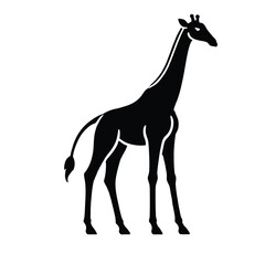 Obraz premium Giraffe Silhouette