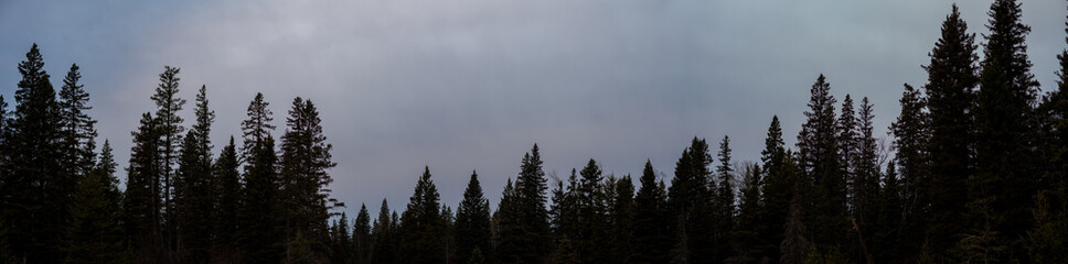 Wide panorama of an northern evergreen forest and a gray cloud filled sky
