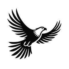 Obraz premium Eagle Soaring,