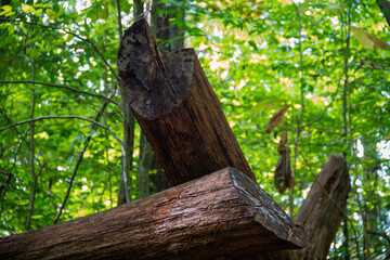 Giant Firepit Crossed Wood Logs