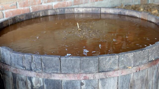 Crushed agave ferments in small vats, preparing for mezcal production in oaxaca, mexico. Traditional methods are used