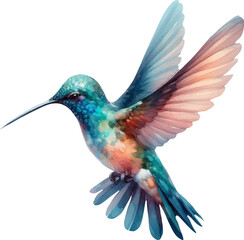 hummingbird in watercolor style