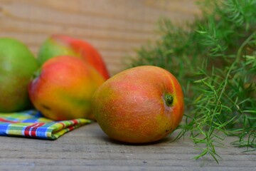 Manga é um fruto do tipo drupa produzido por uma árvore chamada mangueira. Muito consumida in natura, a manga apresenta grandes benefícios à saúde.