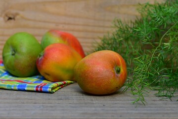 Manga é um fruto do tipo drupa produzido por uma árvore chamada mangueira. Muito consumida in natura, a manga apresenta grandes benefícios à saúde.