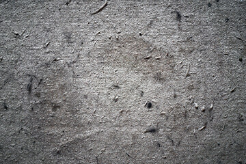 Dirty rug with cat hair and dust in rug. Dirty rug or carpet texture background. The concept of how to remove pet hair and dust in carpet.