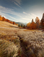 Autumn aesthetic landscape 