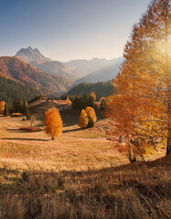 Autumn aesthetic landscape 
