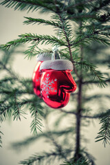 Christmas tree decorations mittens on young christmas tree close up.