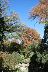 autumn in the park