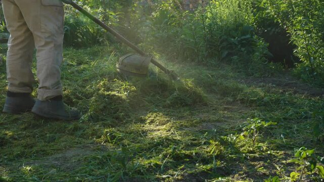 The worker mows the grass with a manual gas lawn mower. Cutting weeds close up. Cleaning the territory from weeds by the gardener