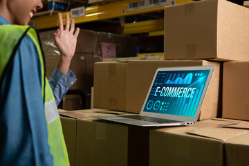 E-commerce data software provide modish dashboard for sale analysis to the online retail business