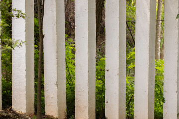 fence and green grass