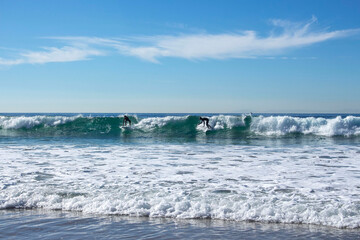 Obraz premium surfers