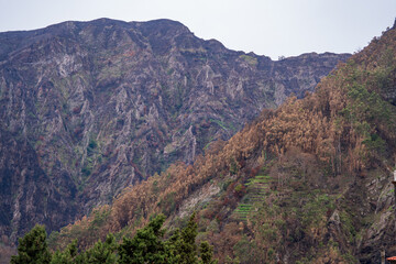 Nuns Valley Madeira