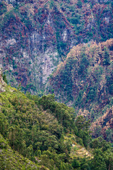 Nuns Valley Madeira