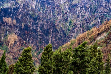 Nuns Valley Madeira