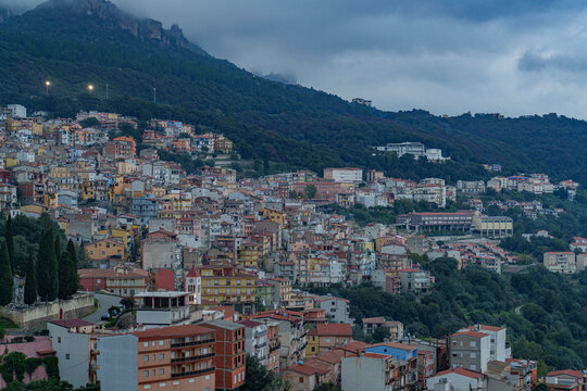 A view of a very densely built-up town, hidden in the middle of a forest.