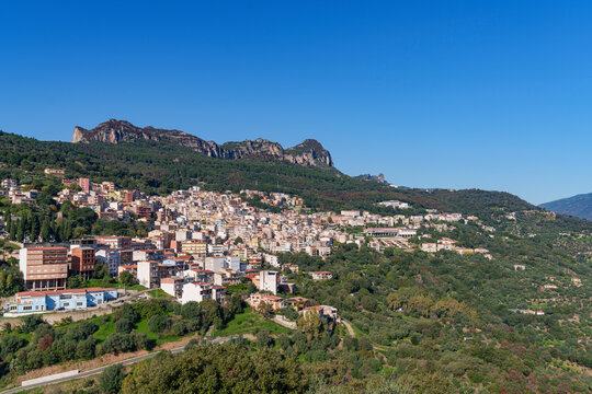 A view of a very densely built-up town, hidden in the middle of a forest