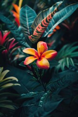 Obraz premium A close up shot of a beautiful flower in a garden