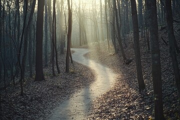 Obraz premium A serene woodland scene with sunlight filtering through the trees, perfect for nature-inspired designs and calm atmosphere