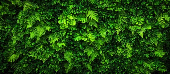 Vertical garden showcasing lush greenery climbing a textured wall perfect for enhancing urban spaces and improving air quality