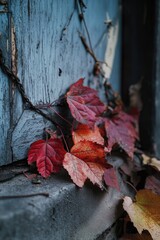 A close-up view of a bunch of leaves on a window sill, perfect for decoration or nature-inspired designs
