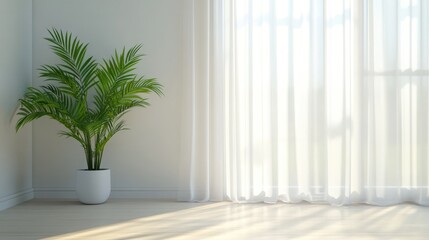 Fototapeta premium Bright and minimalistic interior showcasing a vibrant green plant next to sheer curtains and white walls contributing to a tranquil ambiance