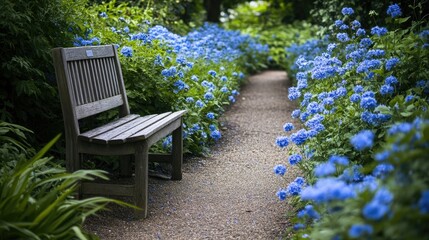 Obraz premium Tranquil garden walkway featuring vibrant blue flowers and a wooden bench offering a serene space for nature enthusiasts to unwind and appreciate the calm atmosphere