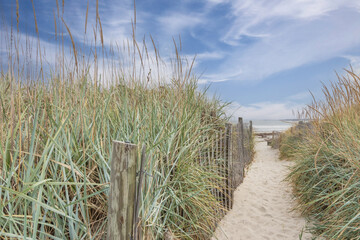 pathway to beach with fence and sandy path
