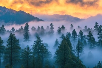 Obraz premium Early morning fog over a lush green valley with trees