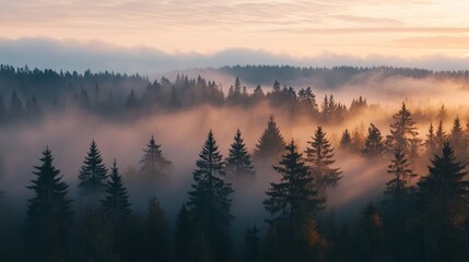 Fototapeta premium Early morning fog over a lush green valley with trees