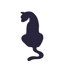Black cat silhouette on white background
