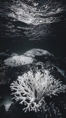 Stunning Underwater Scene of Bleached Coral Reef Environment