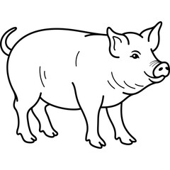 Obraz premium Domestic swine. Vector outline icon.