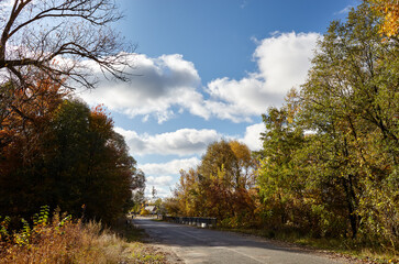 Asphalt country road near trees. A bend road at rural Europe