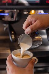 Professional barista preparing perfect cappuccino in the cafe bar