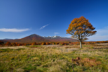 石倉山　紅葉 秋　青森県　日本/Ishikurayama Autumn leaves Aomori Prefecture Japan