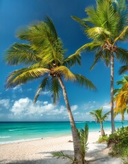 Naklejka premium Tropical Beach Paradise with Palm Trees and Clear Blue Sky