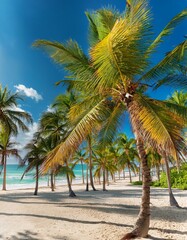Fototapeta premium Tropical Beach Paradise with Palm Trees and Clear Blue Sky