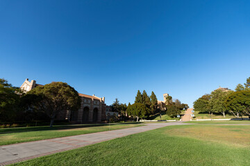 カリフォルニア大学ロサンゼルス校