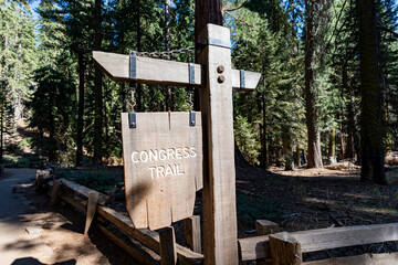 ザ・コングレス・トレイル The Congress Trail