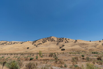 アメリカ西海岸の砂漠