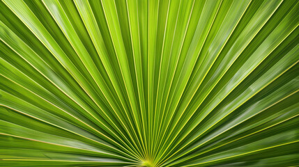 Discover the vibrant beauty of a palm leaf, showcasing natures art in vivid green hues against a bright backdrop.
