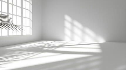 Fototapeta premium Minimalist Interior with Leaf Shadow on White Surface