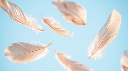 Soft Floating Feathers Against Blue Background