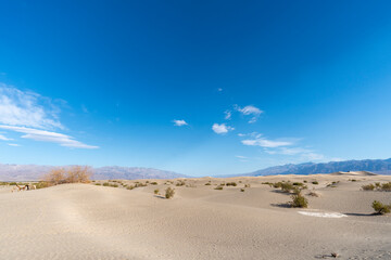 メスキートフラット砂丘 Mesquite Flat Sand Dunes