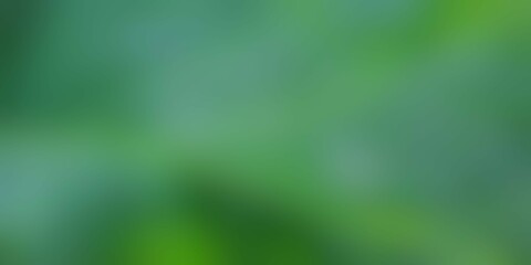 Obraz premium Abstract blurry gradient green background 