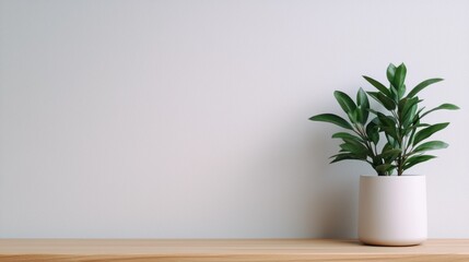 Fototapeta premium Green houseplant in white ceramic pot on wooden table against plain wall background.