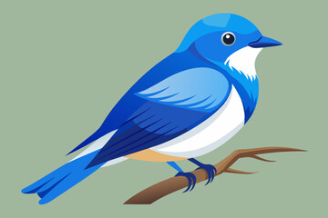 Obraz premium cute ultramarine flycatcher bird blue vector art illustration